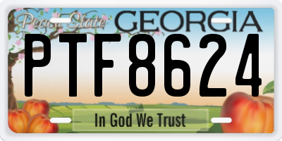 GA license plate PTF8624