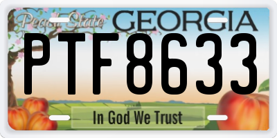 GA license plate PTF8633