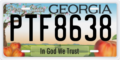 GA license plate PTF8638