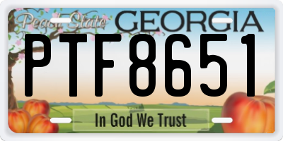 GA license plate PTF8651