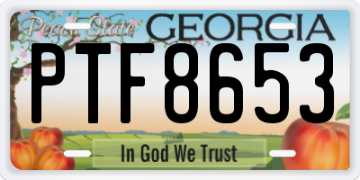 GA license plate PTF8653