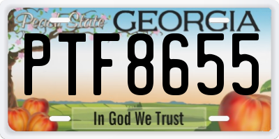 GA license plate PTF8655