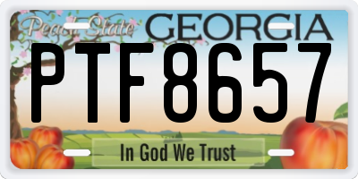 GA license plate PTF8657