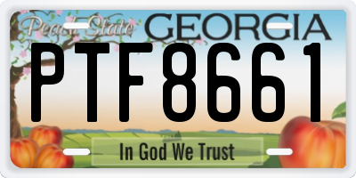 GA license plate PTF8661