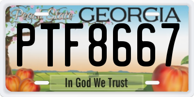 GA license plate PTF8667