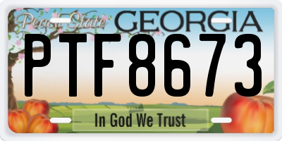 GA license plate PTF8673