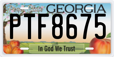 GA license plate PTF8675