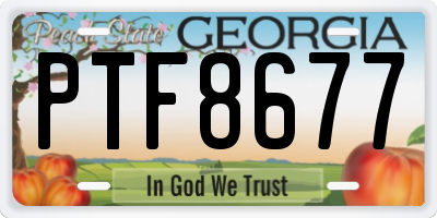 GA license plate PTF8677