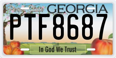 GA license plate PTF8687