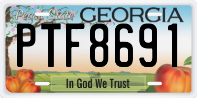 GA license plate PTF8691