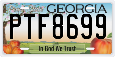 GA license plate PTF8699