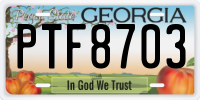 GA license plate PTF8703