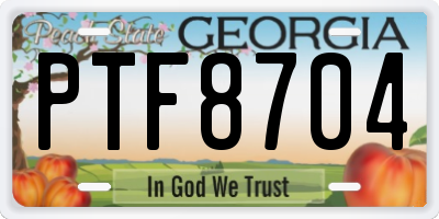 GA license plate PTF8704