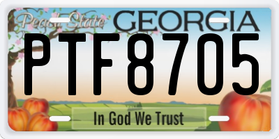 GA license plate PTF8705