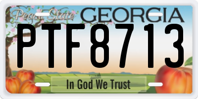 GA license plate PTF8713