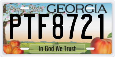 GA license plate PTF8721