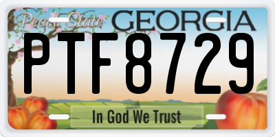GA license plate PTF8729