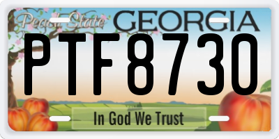 GA license plate PTF8730