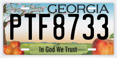 GA license plate PTF8733