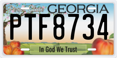 GA license plate PTF8734
