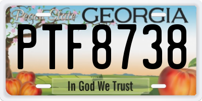 GA license plate PTF8738