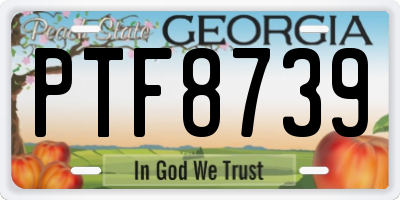 GA license plate PTF8739
