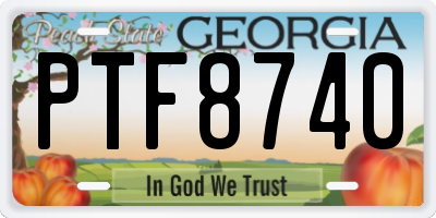GA license plate PTF8740