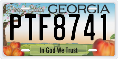 GA license plate PTF8741