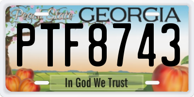 GA license plate PTF8743