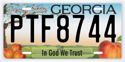 GA license plate PTF8744