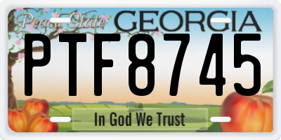GA license plate PTF8745