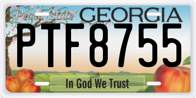 GA license plate PTF8755