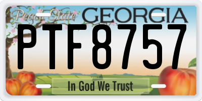GA license plate PTF8757