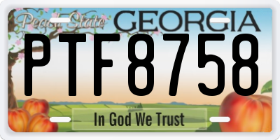 GA license plate PTF8758