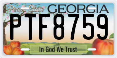GA license plate PTF8759