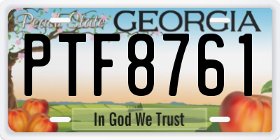 GA license plate PTF8761