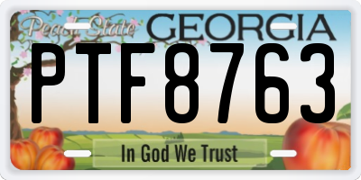 GA license plate PTF8763