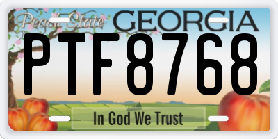 GA license plate PTF8768
