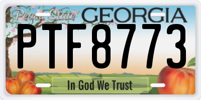 GA license plate PTF8773