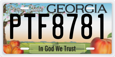 GA license plate PTF8781