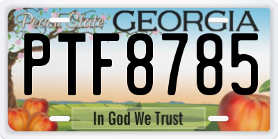 GA license plate PTF8785