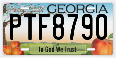 GA license plate PTF8790