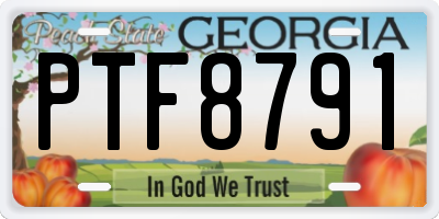 GA license plate PTF8791