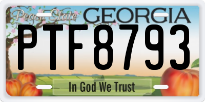 GA license plate PTF8793