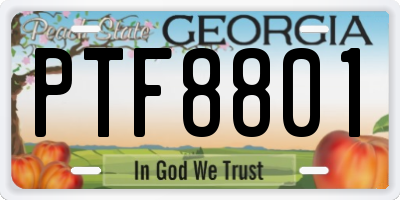 GA license plate PTF8801