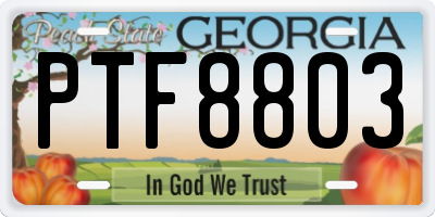 GA license plate PTF8803
