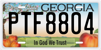 GA license plate PTF8804