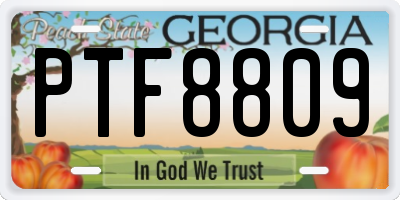 GA license plate PTF8809