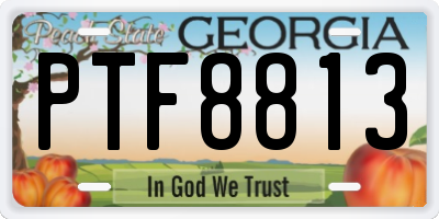 GA license plate PTF8813