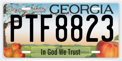 GA license plate PTF8823
